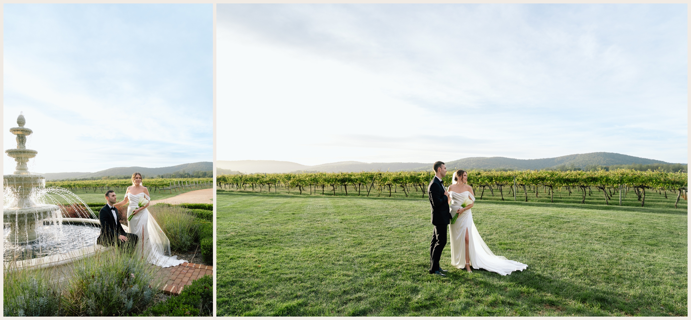 wedding portraits at Keswick Vineyards during golden hour