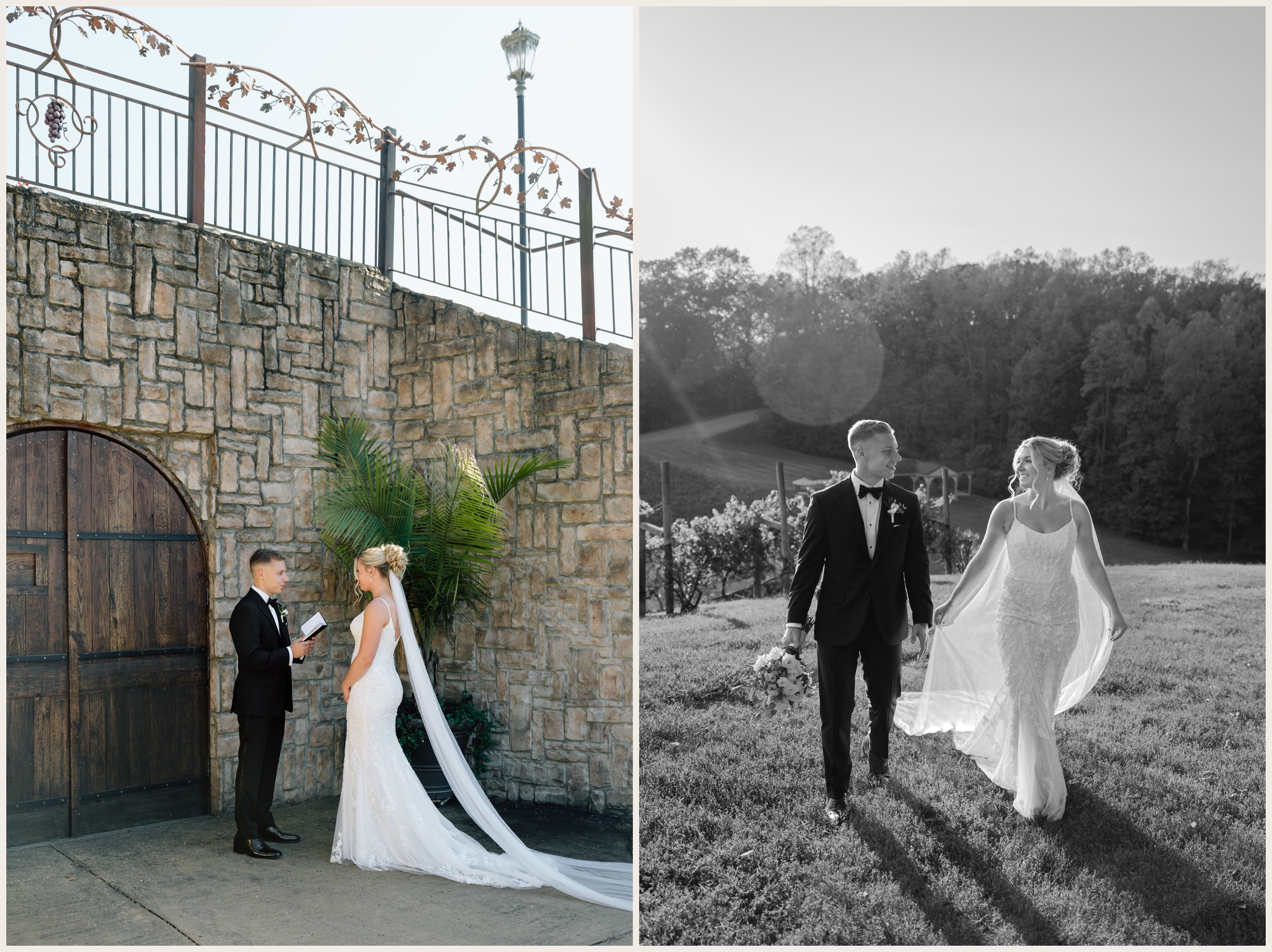 Wedding couples portraits at Potomac Point Winery